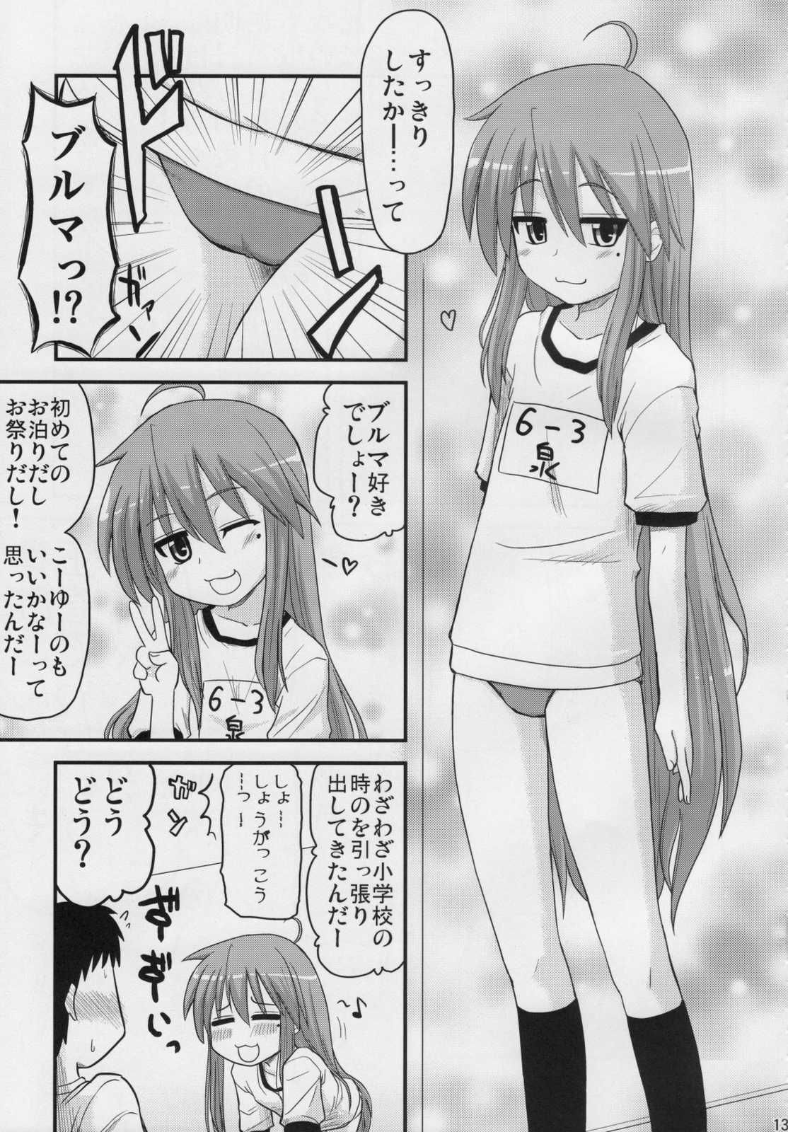 こなたと○○総集編 4冊全部と＋ 1 12ページ