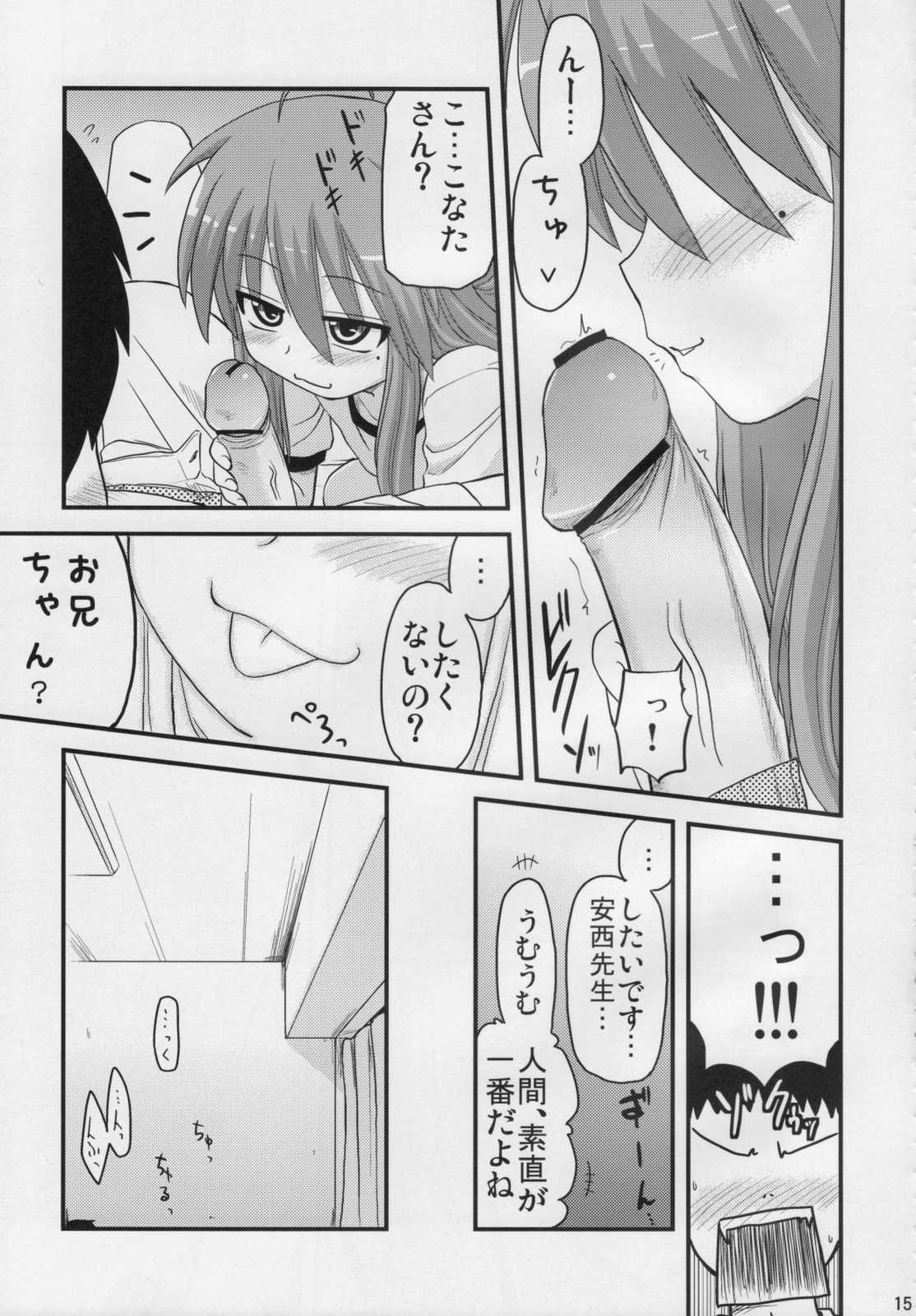 こなたと○○総集編 4冊全部と＋ 1 14ページ