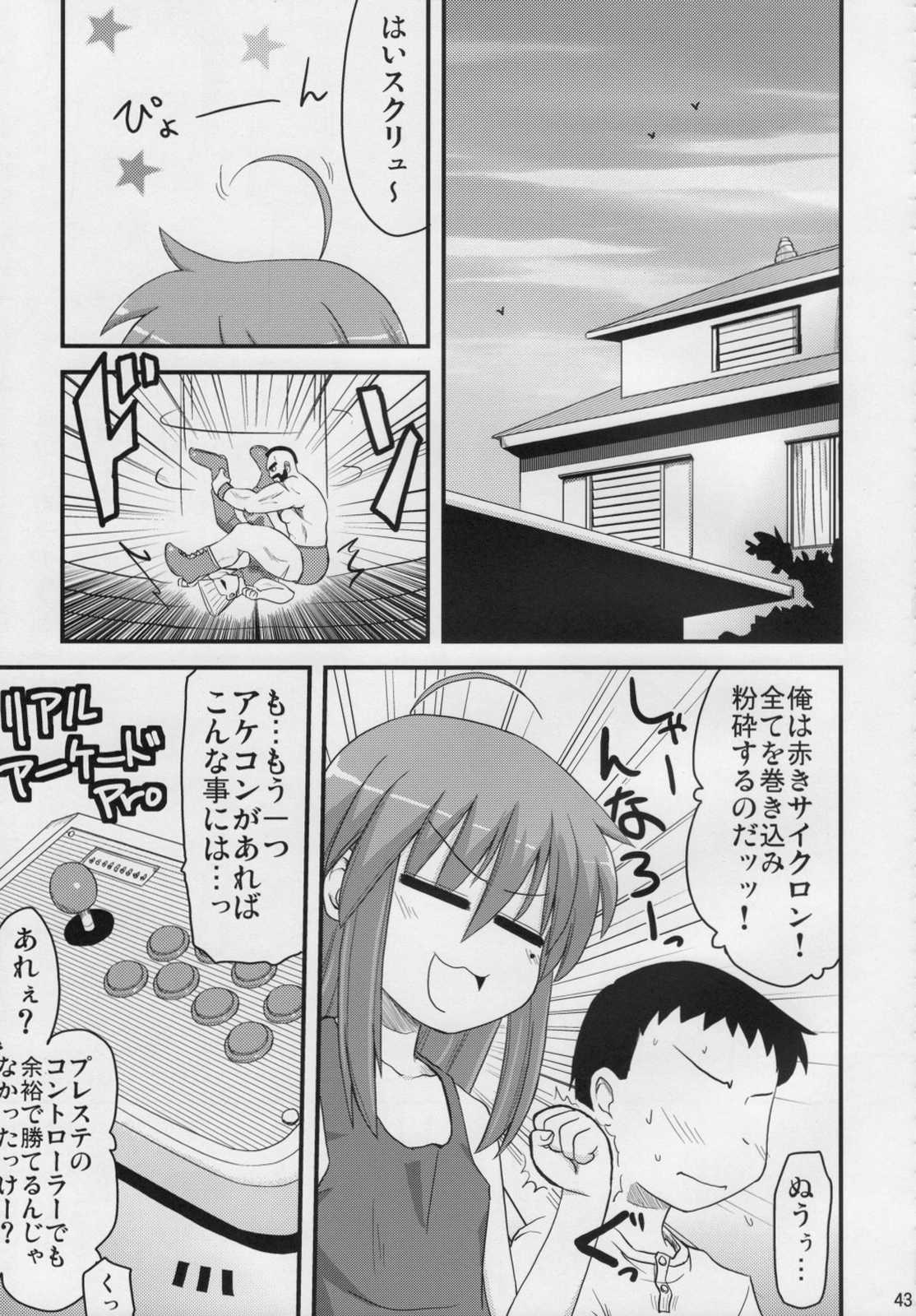 こなたと○○総集編 4冊全部と＋ 1 42ページ