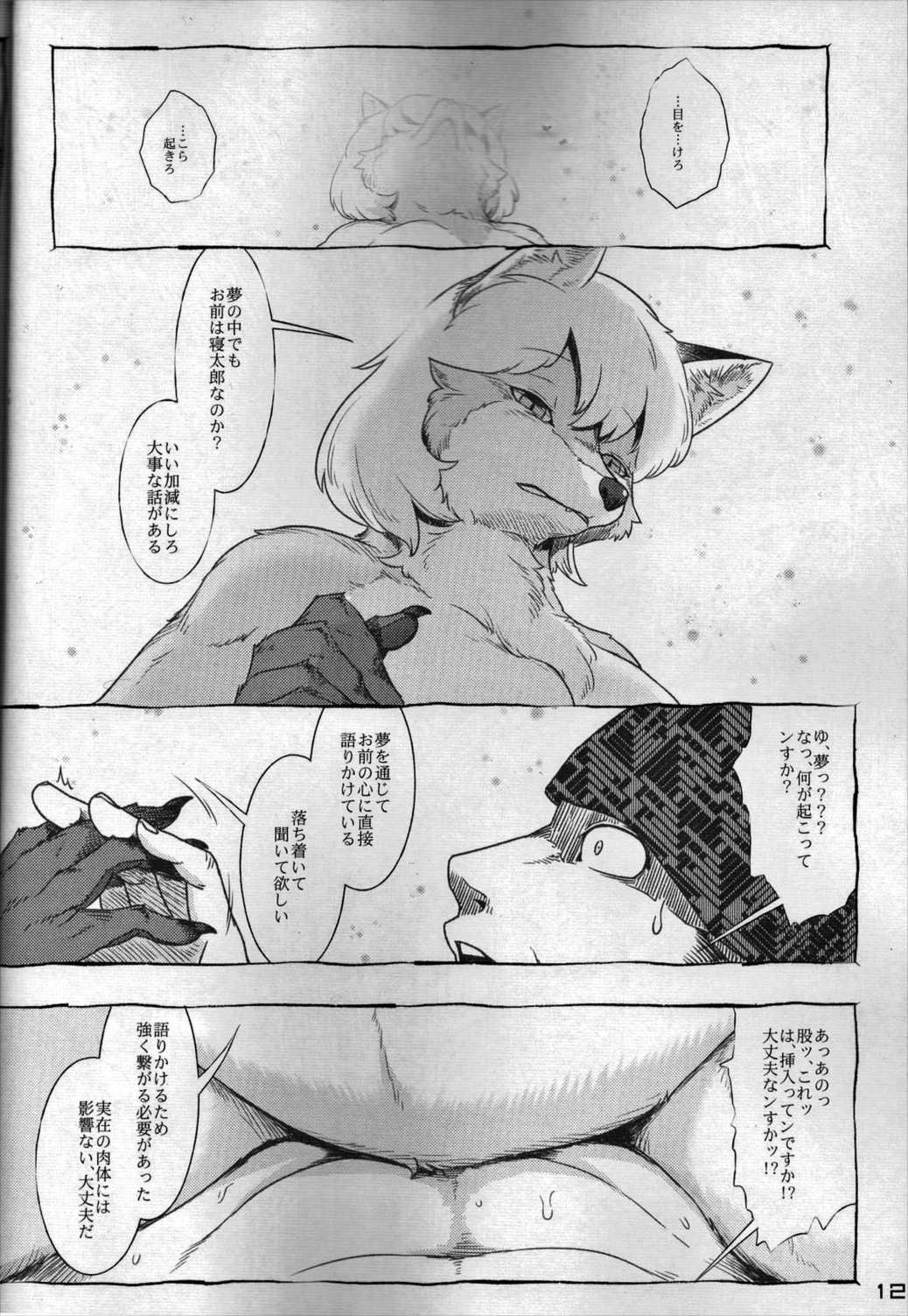 東方PLUMFUR FINAL 11ページ