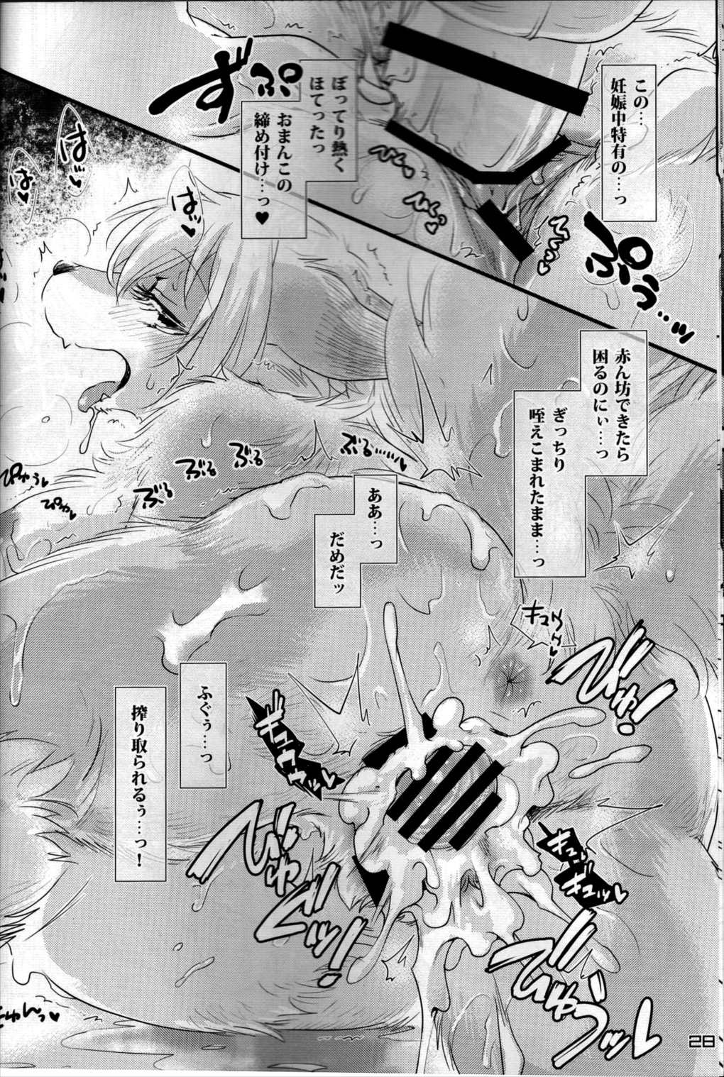 東方PLUMFUR FINAL 27ページ