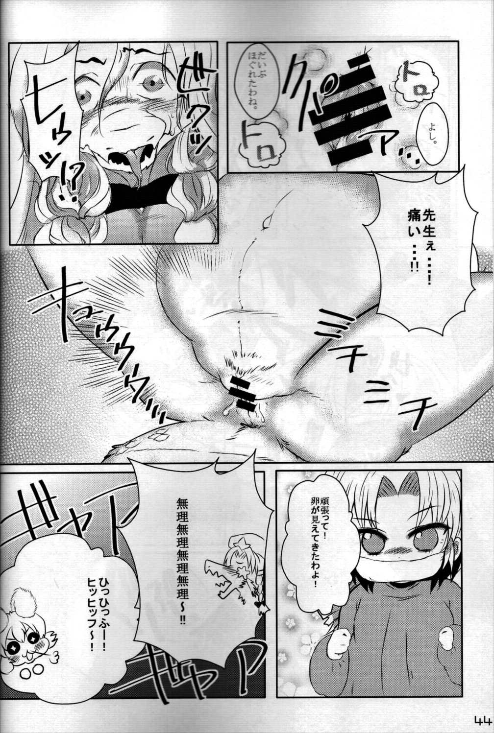 東方PLUMFUR FINAL 43ページ