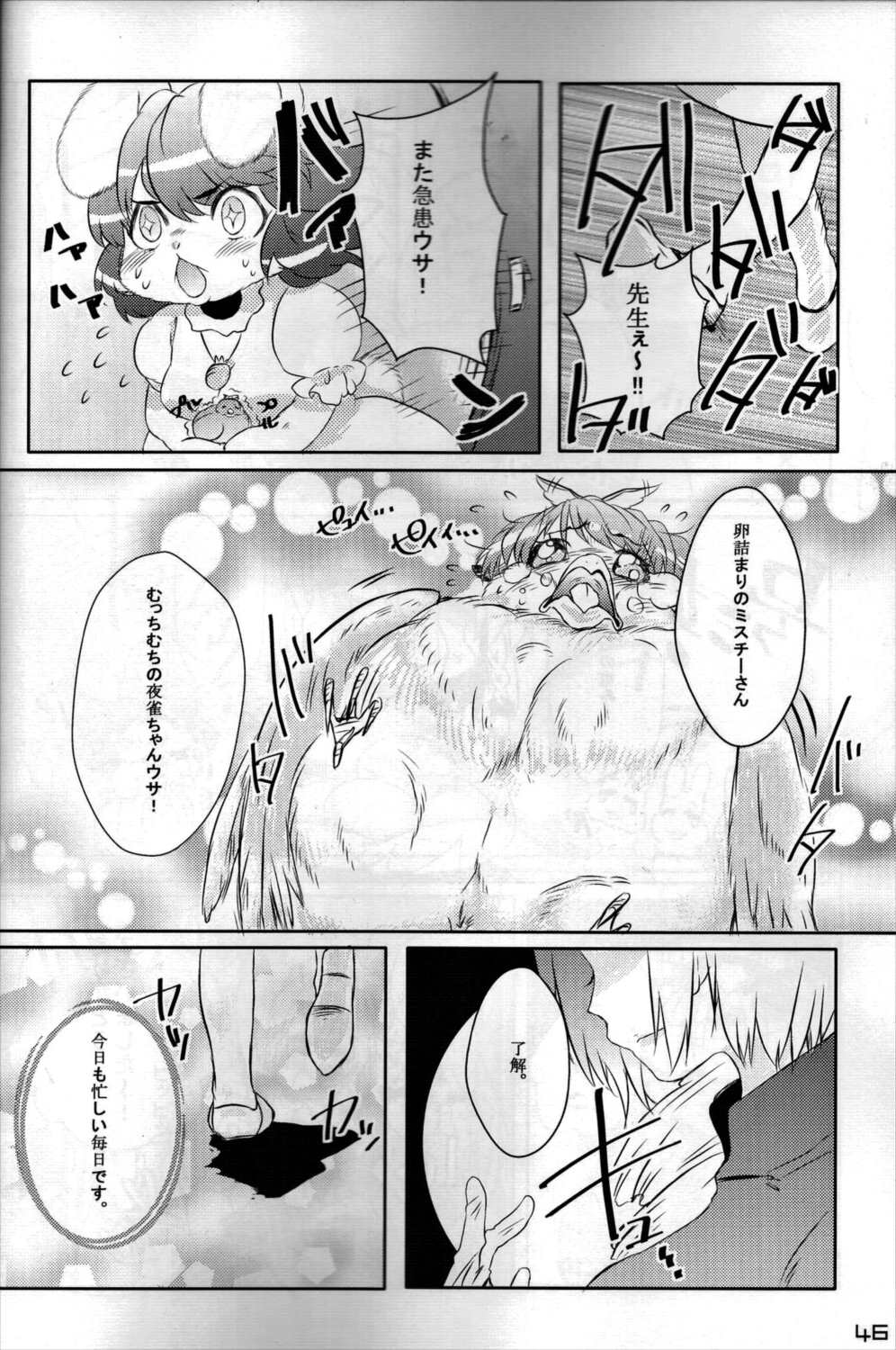 東方PLUMFUR FINAL 45ページ