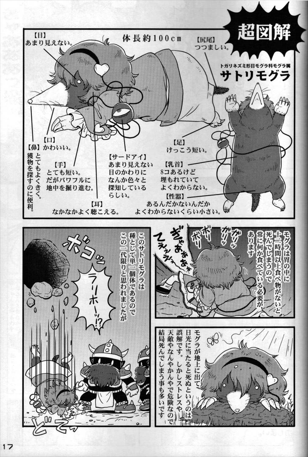 東方PLUMFUR FINAL 116ページ