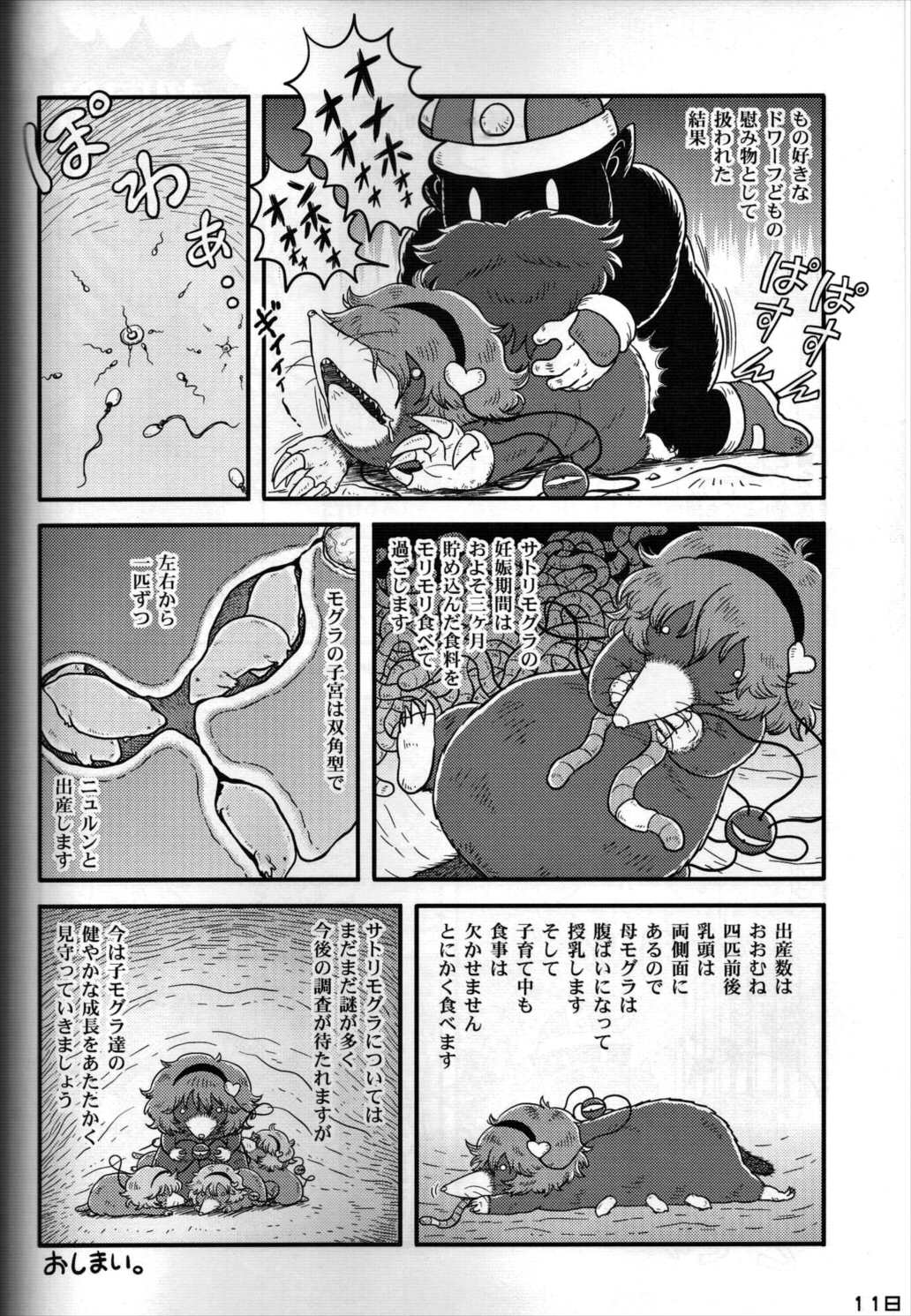 東方PLUMFUR FINAL 117ページ