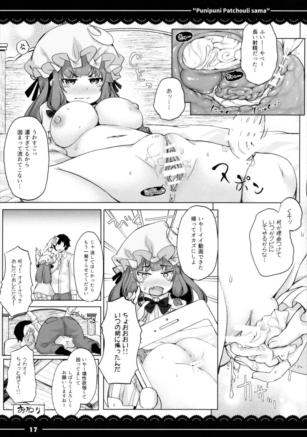 ぷにぷにパチュリー様 18ページ