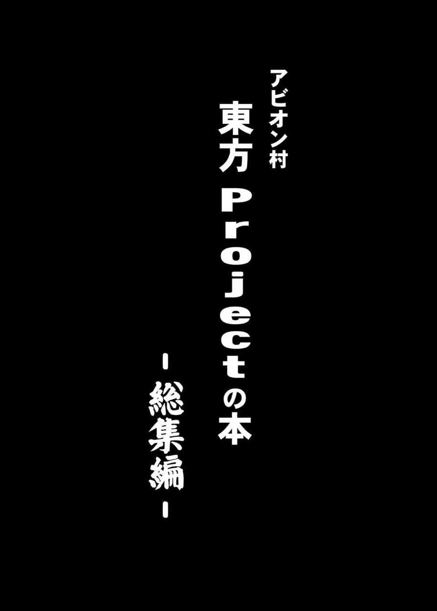 東方projectの本 総集編 2ページ