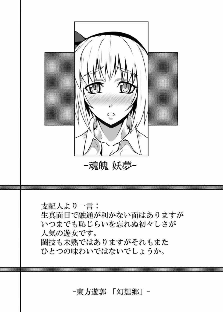 東方projectの本 総集編 7ページ