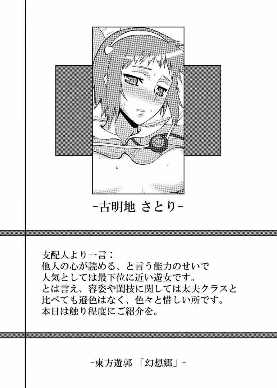 東方projectの本 総集編 33ページ