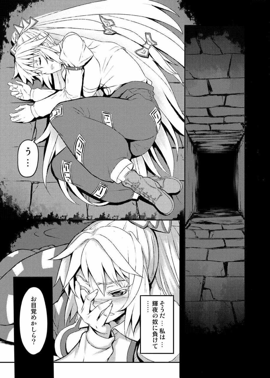 東方projectの本 総集編 250ページ