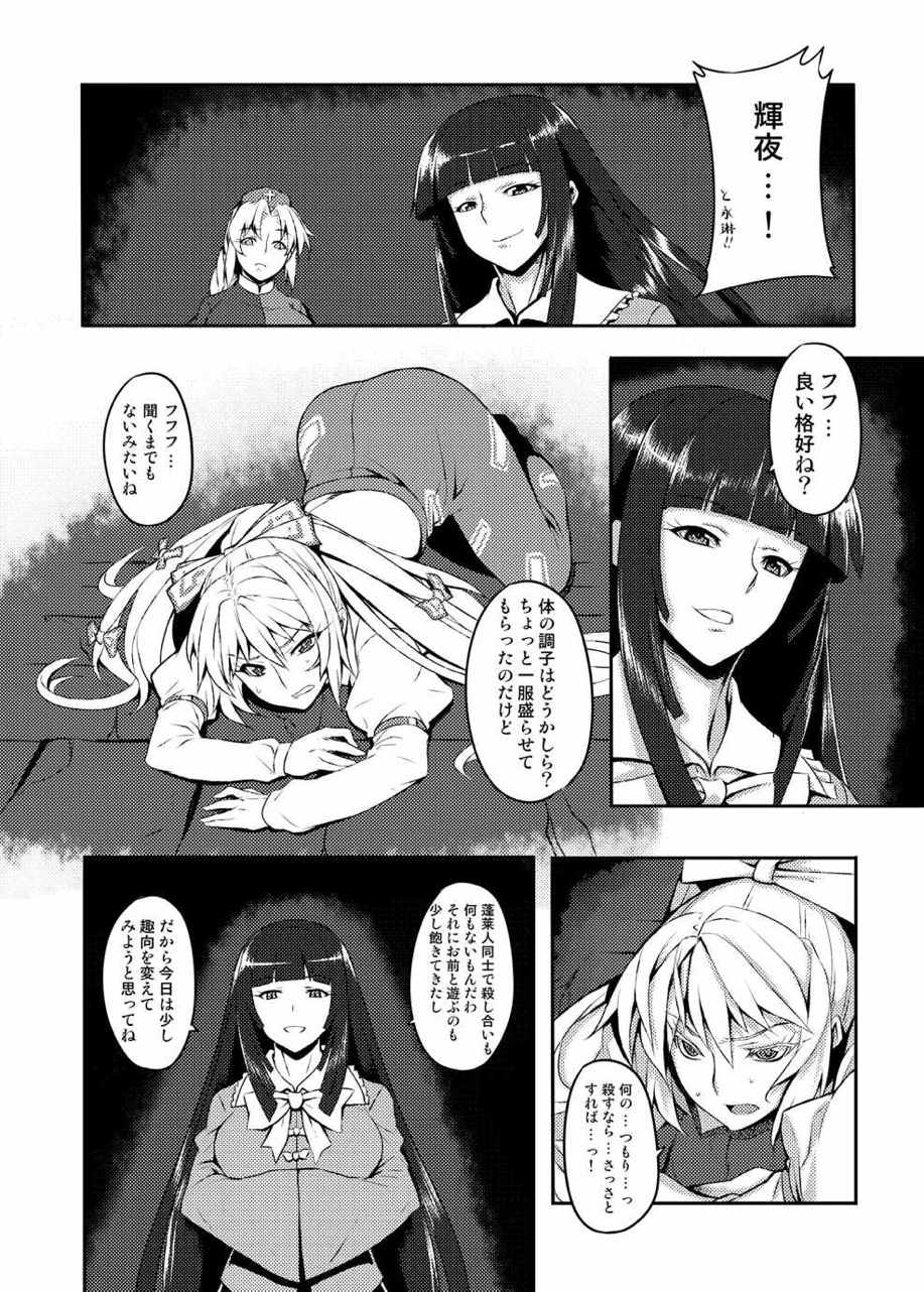 東方projectの本 総集編 251ページ