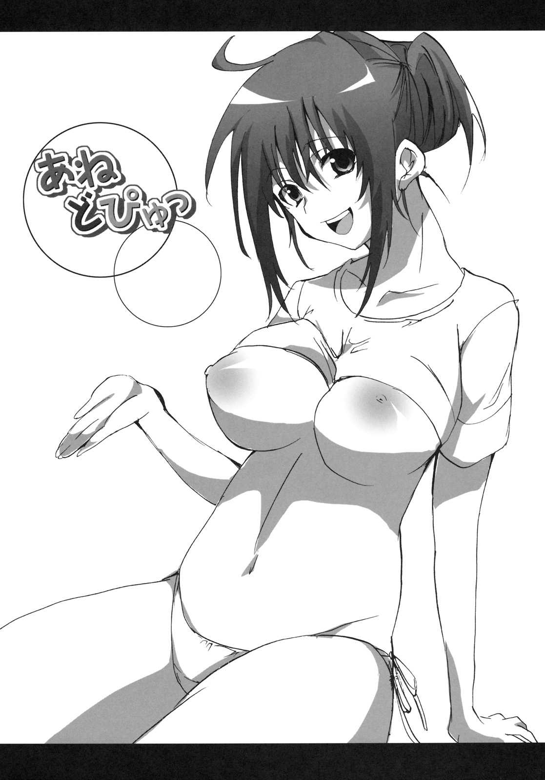 あねどぴゅ 3ページ