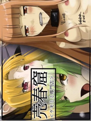 売春窟<ケモミミ専門店>