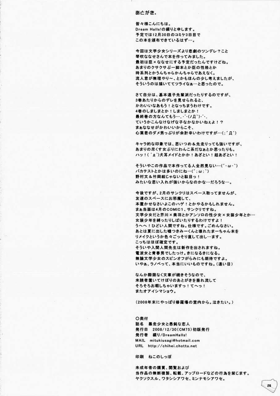 暴走少女と愚鈍な恋人 25ページ
