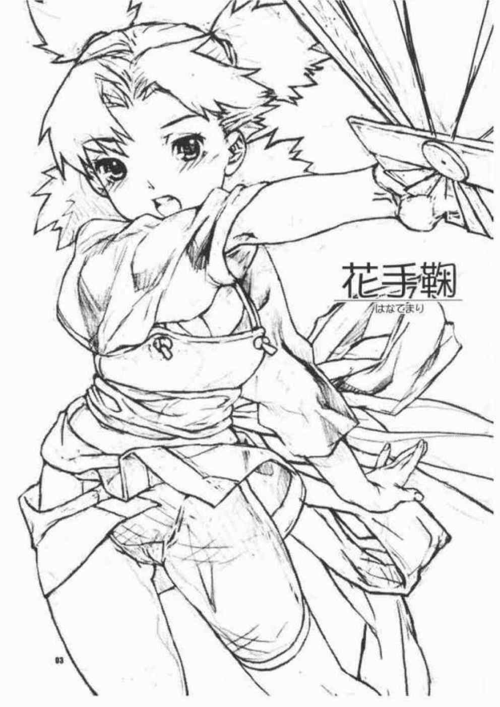 花手鞠 2ページ