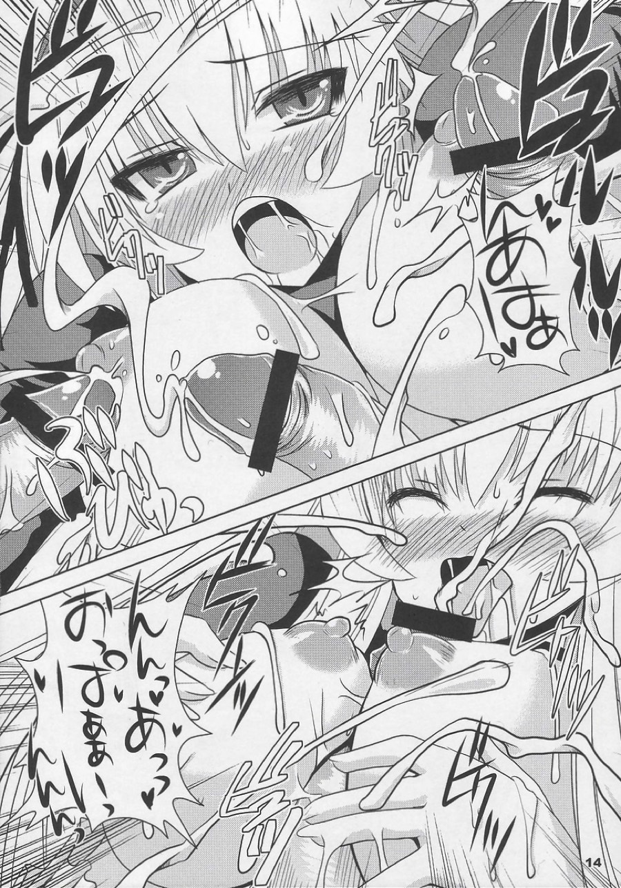 水銀中毒 弐 13ページ