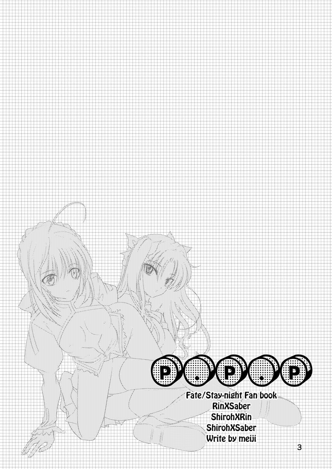 PPP 2ページ