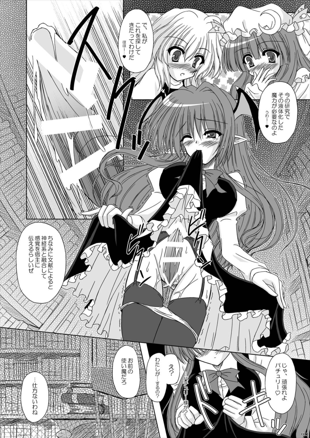 Lunatic Library 11ページ