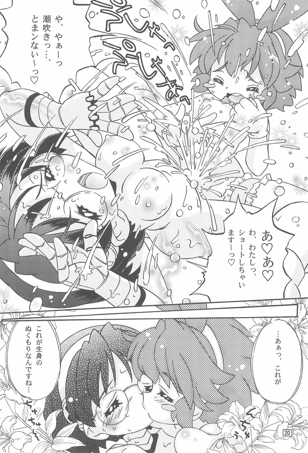 ぽかもん 19ページ