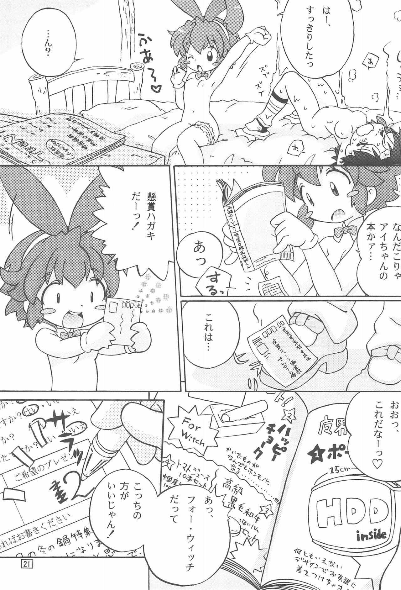 ぽかもん 20ページ