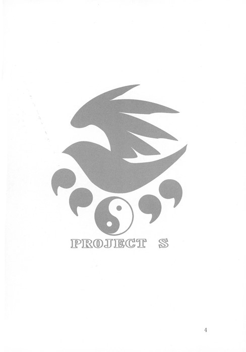 PROJECT S 3ページ