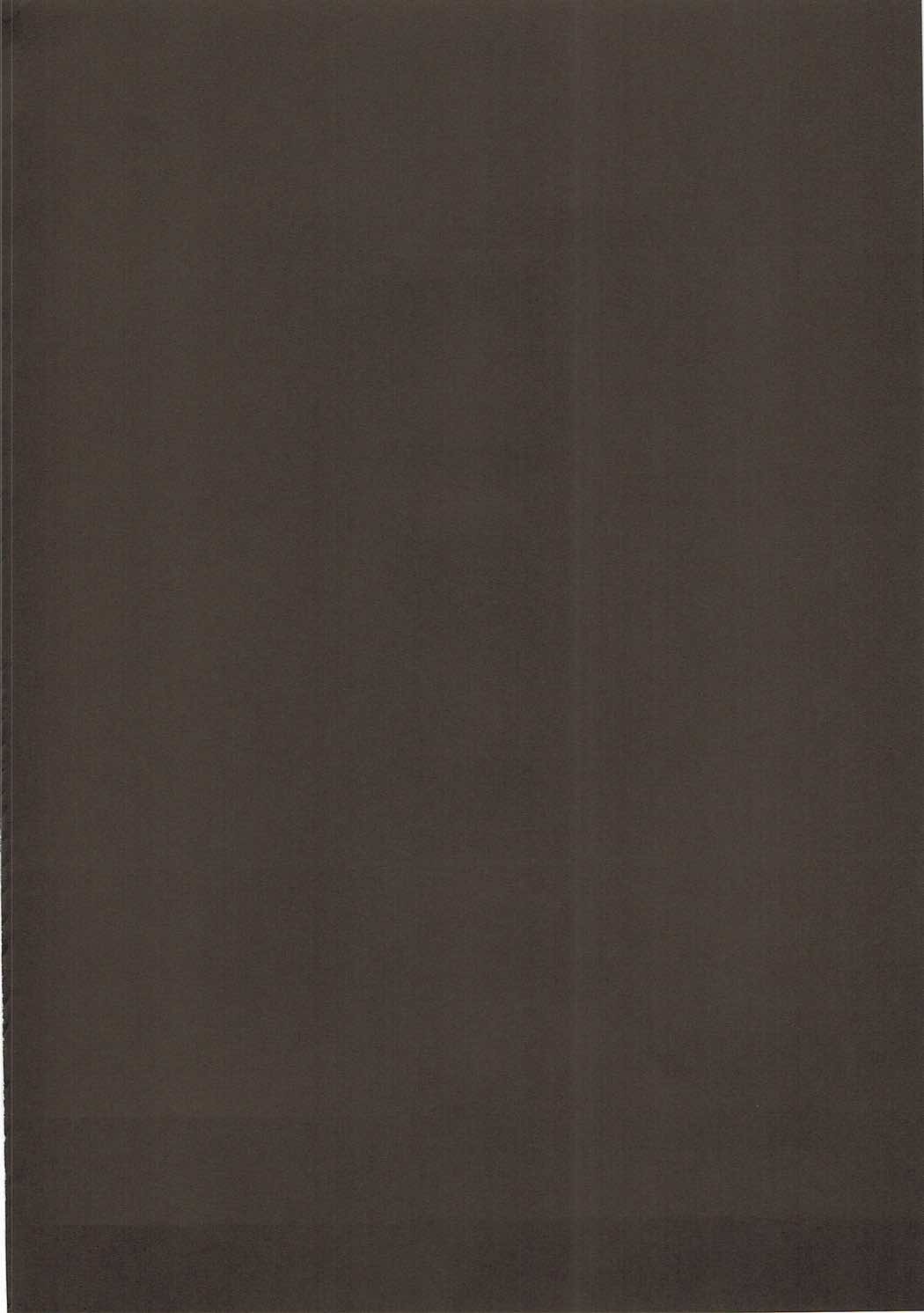 侵食聖女 3ページ