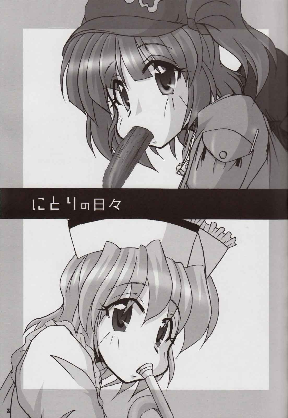 にとりの日々 2ページ