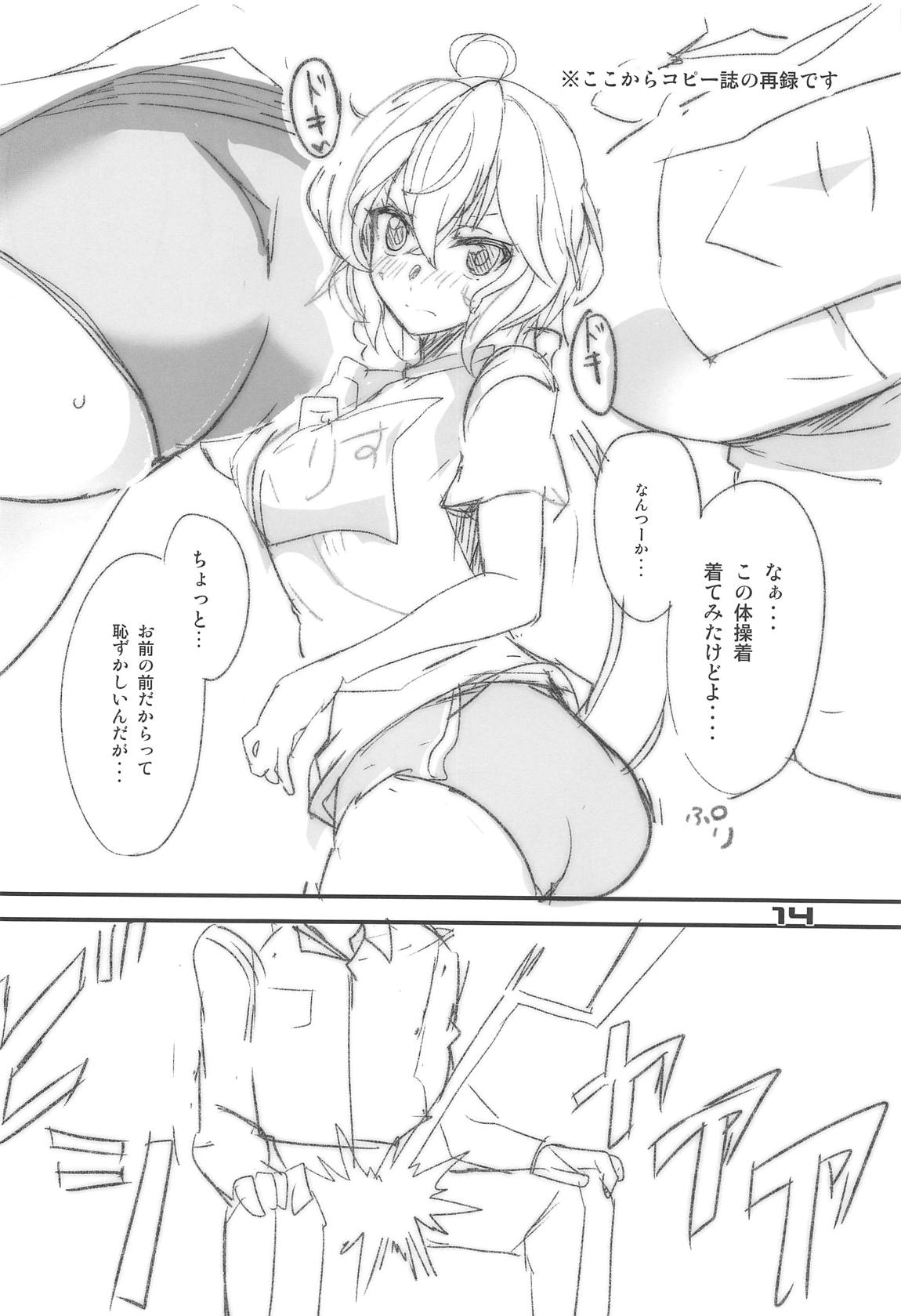 カリオストロ、だとしても？ 13ページ