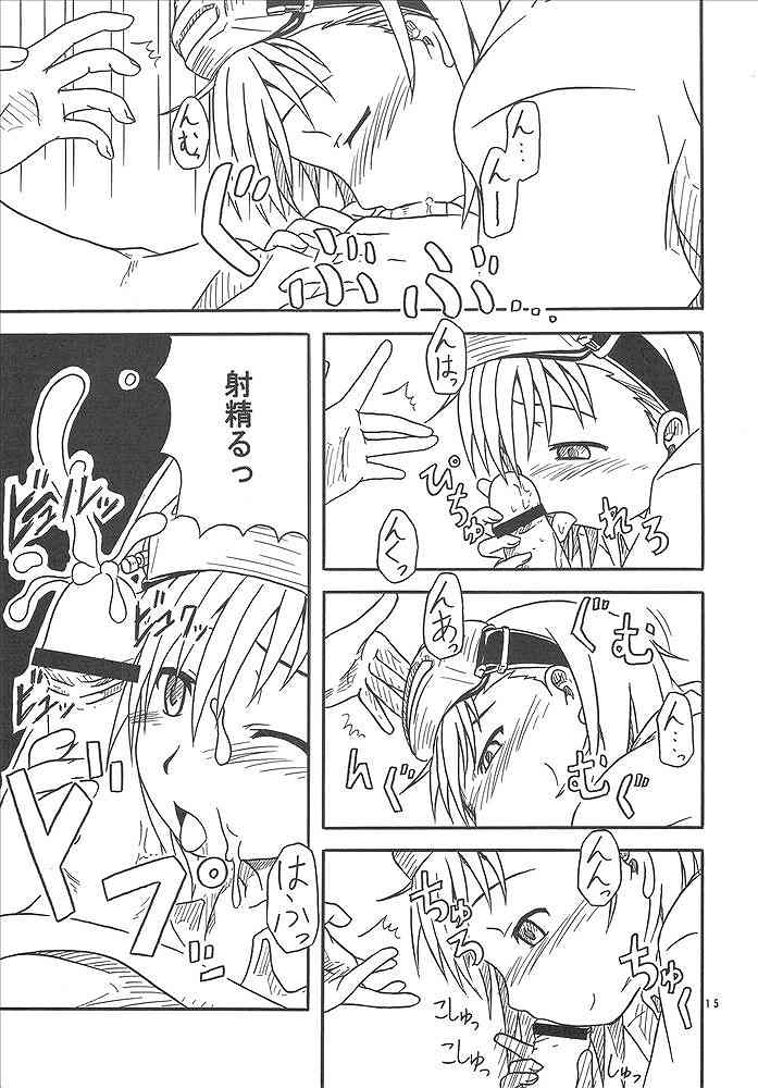 10032号の主張 14ページ