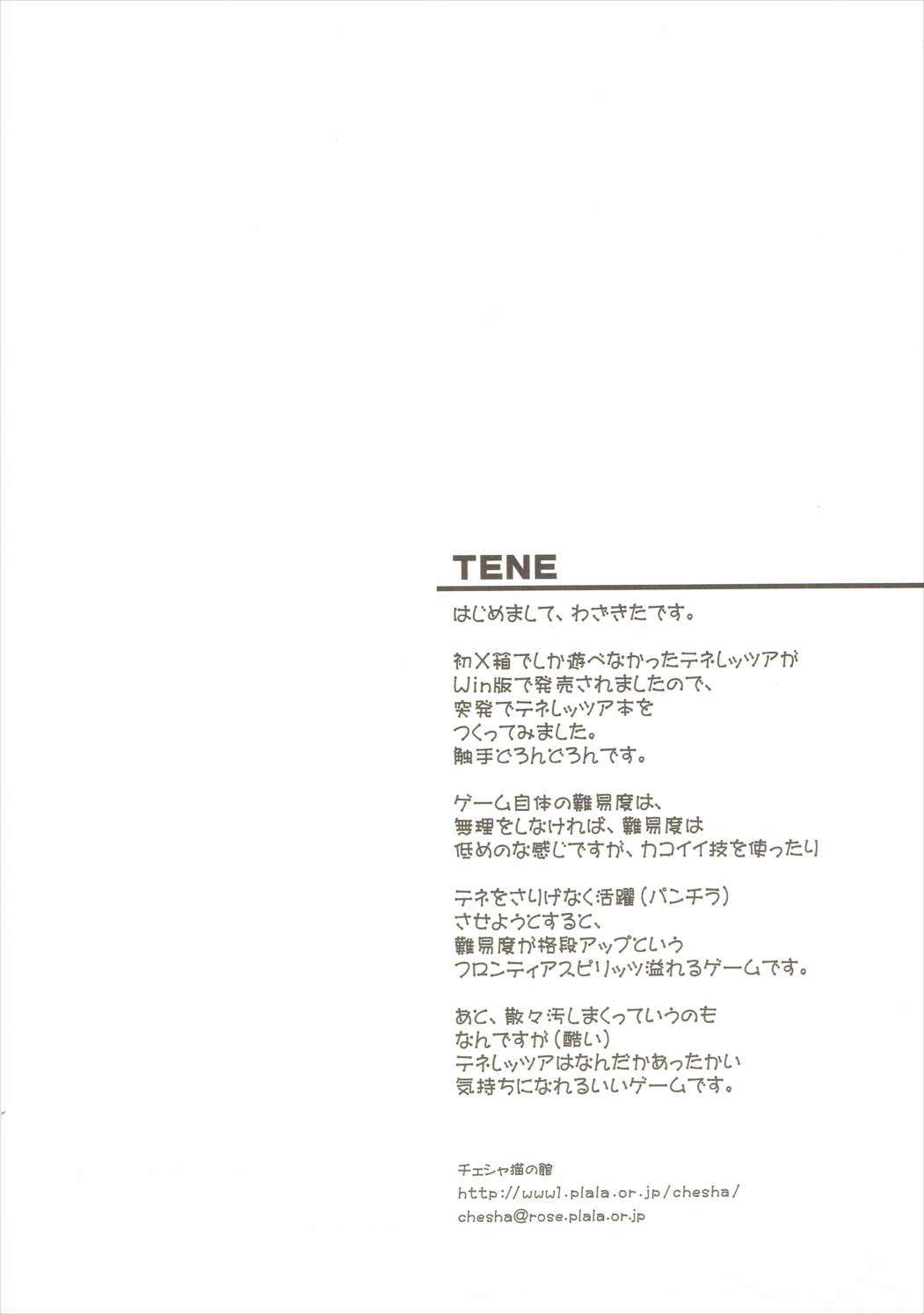 TENE 17ページ