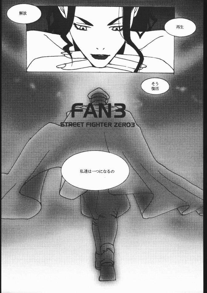 FAN3 6ページ