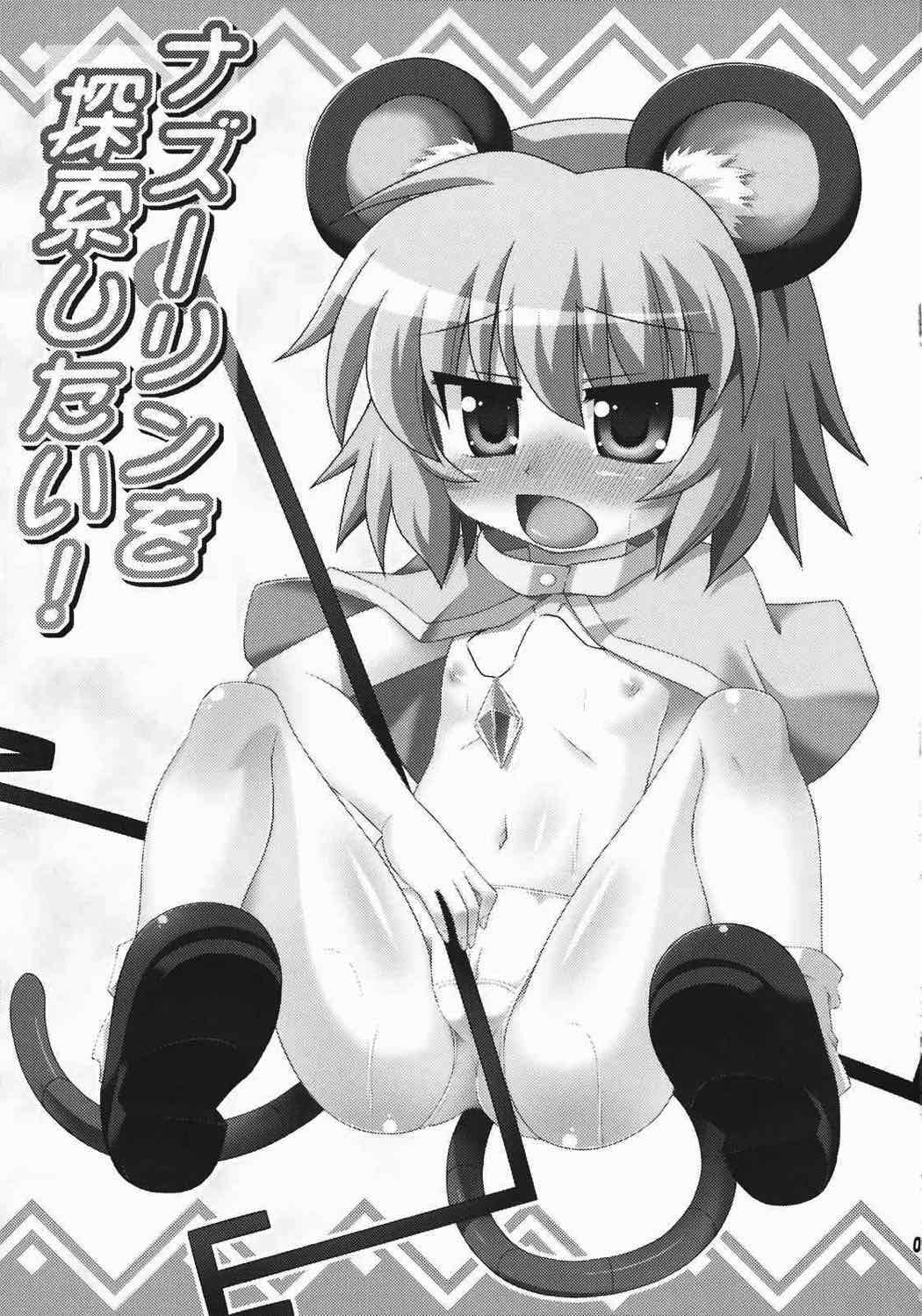 ナズーリンを探索したい！ 2ページ