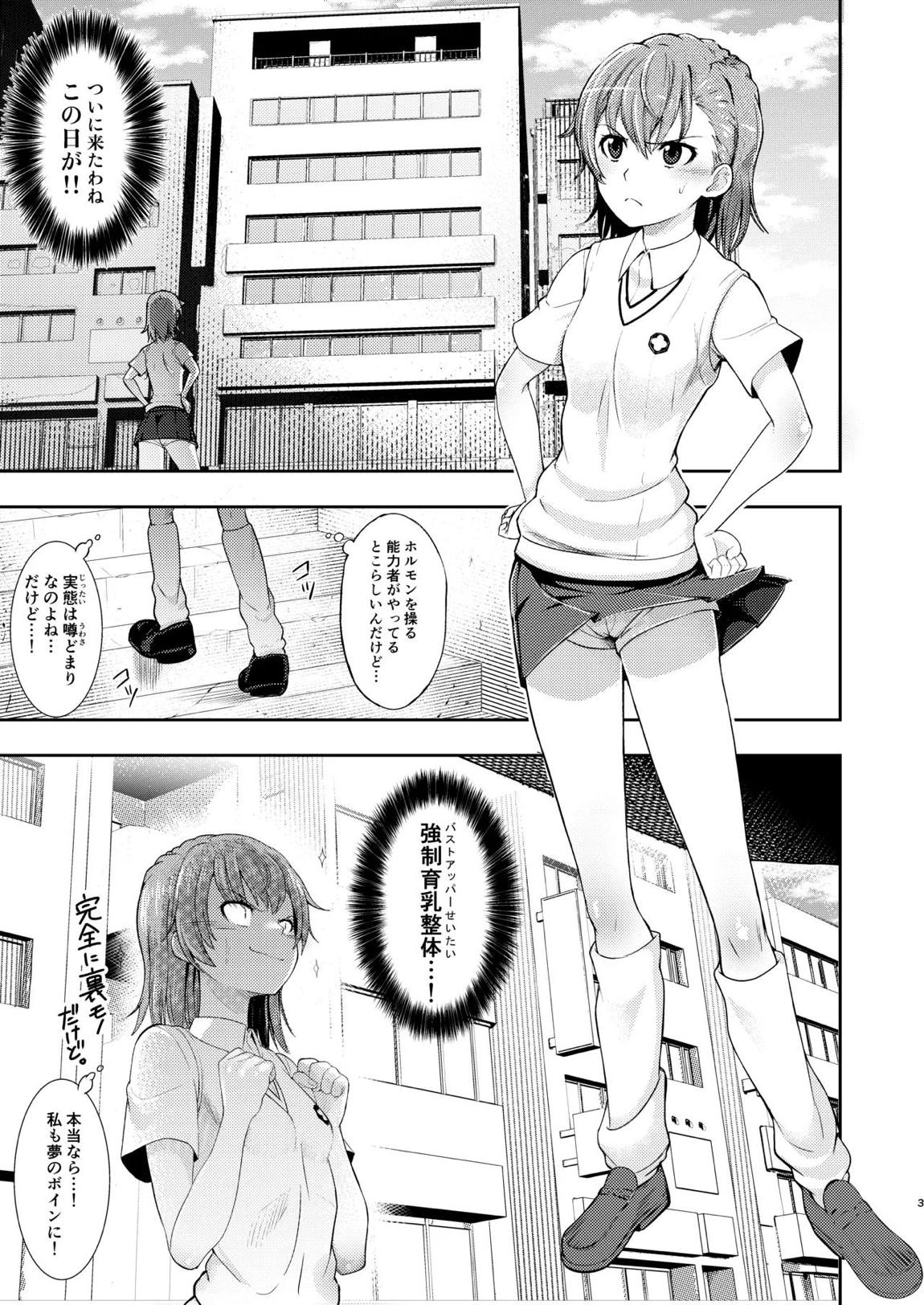とある科学の育乳按摩 2ページ