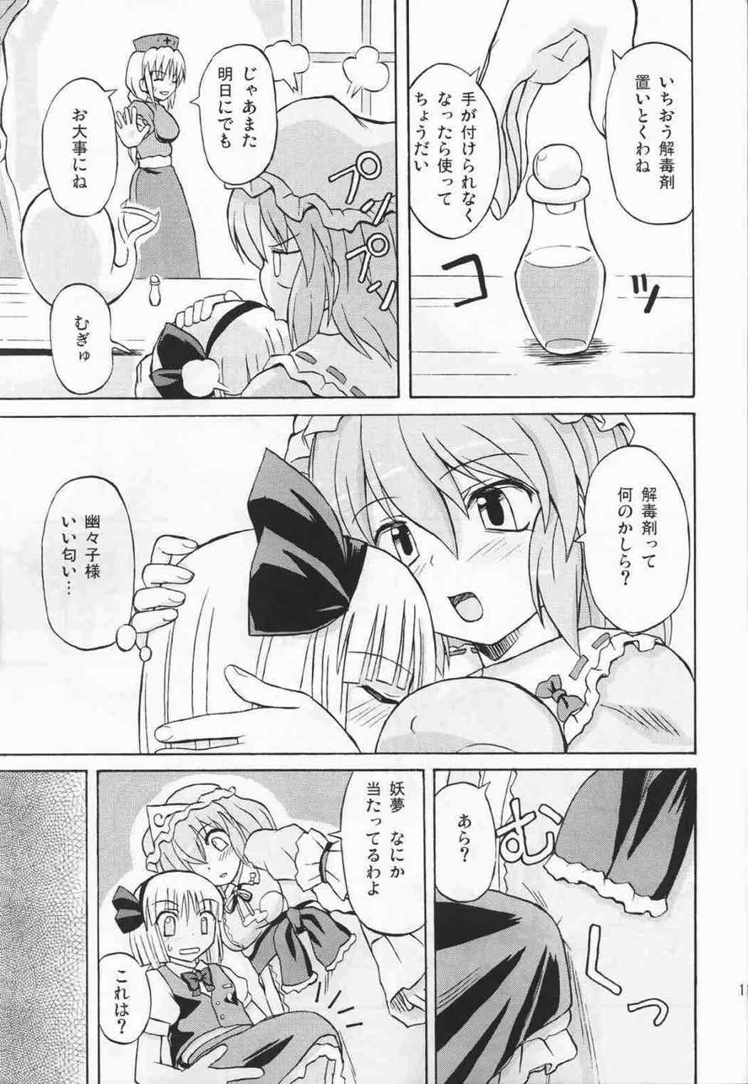 東方妖女乱舞３ 10ページ