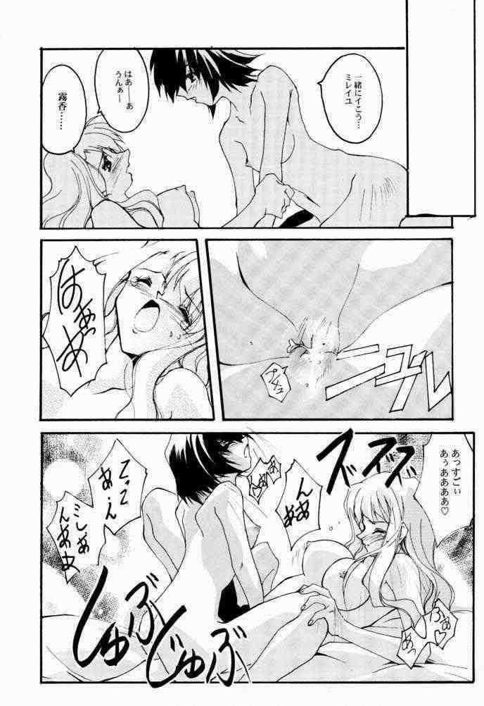 V-Zweit 17ページ