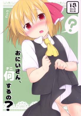 おにいさん、何するの?