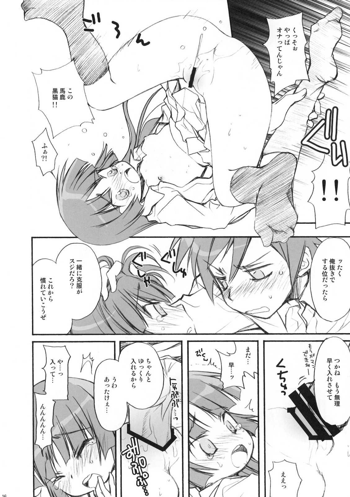 続・俺の黒猫がこんなに(略 15ページ