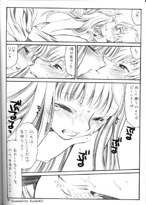 幸せを失うのならば禁欲など愚の骨頂 13ページ