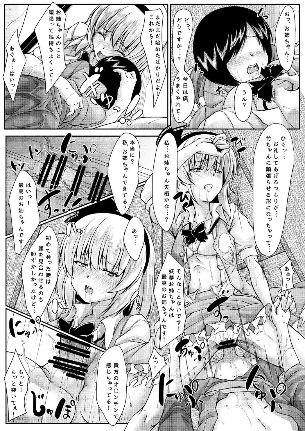 お姉ちゃんとのみょんな関係 13ページ