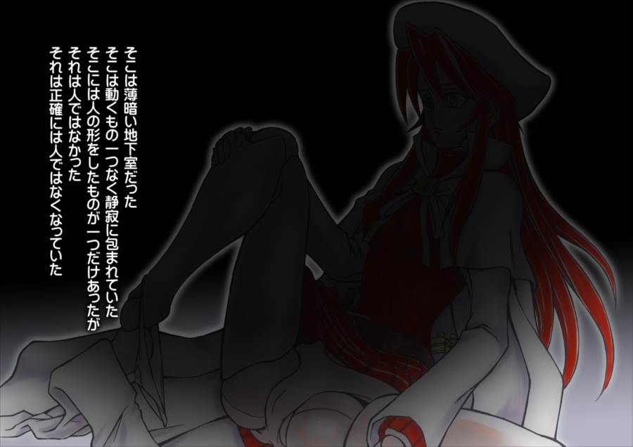 Summons Nightmare-召喚師達の悪夢- side A 12ページ