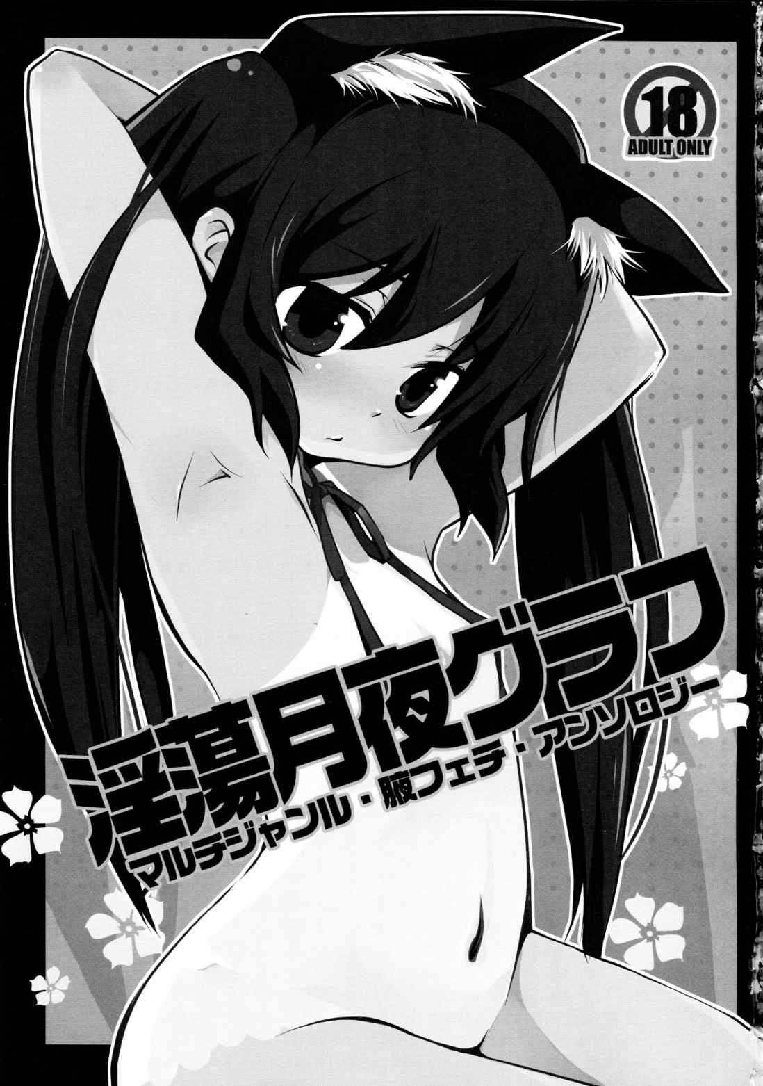 淫蕩月夜グラフ 2ページ