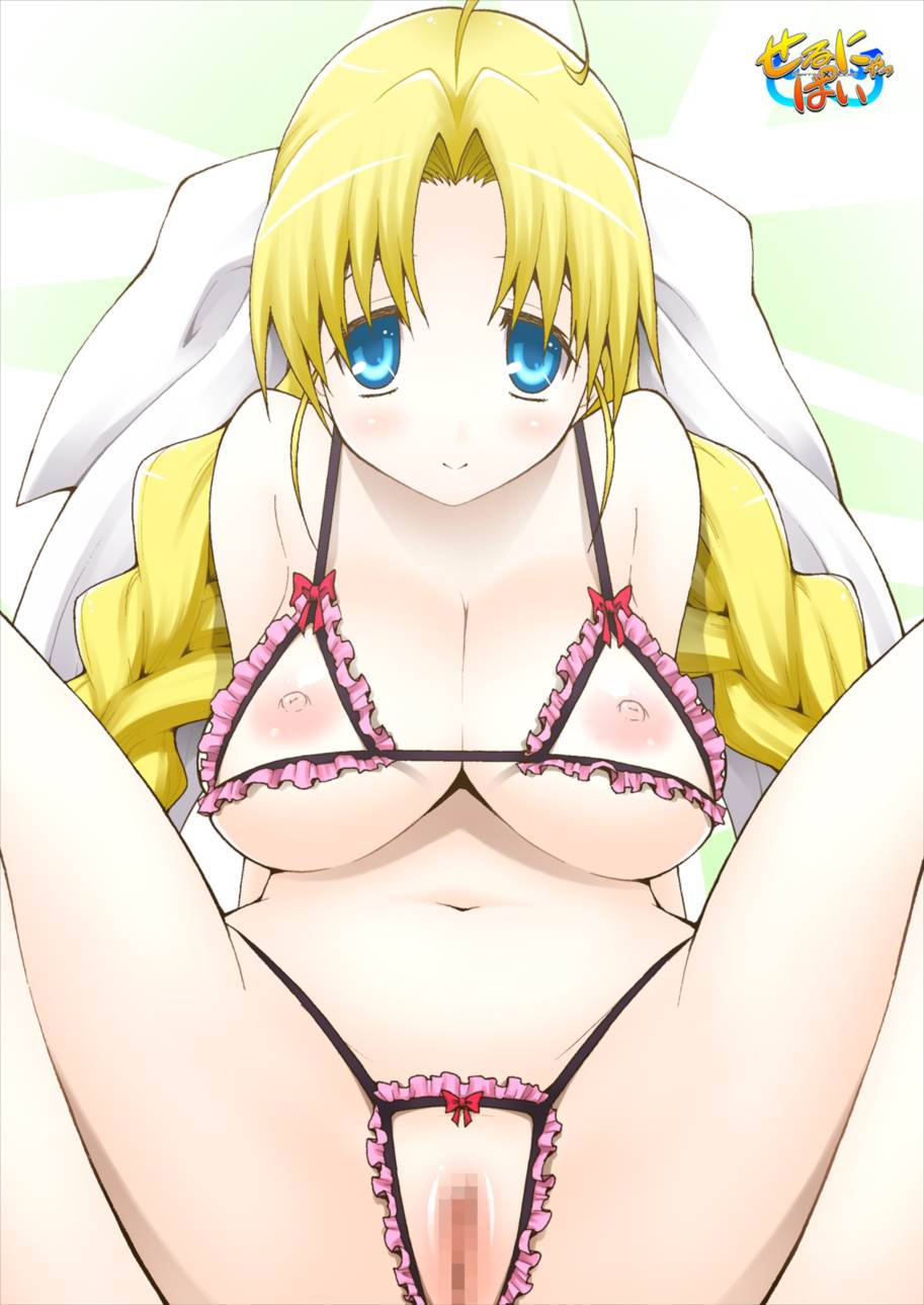 せるにゃっぱい 1ページ