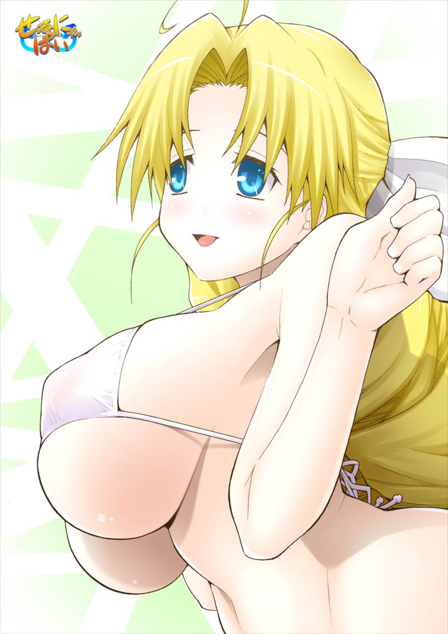 せるにゃっぱい 17ページ