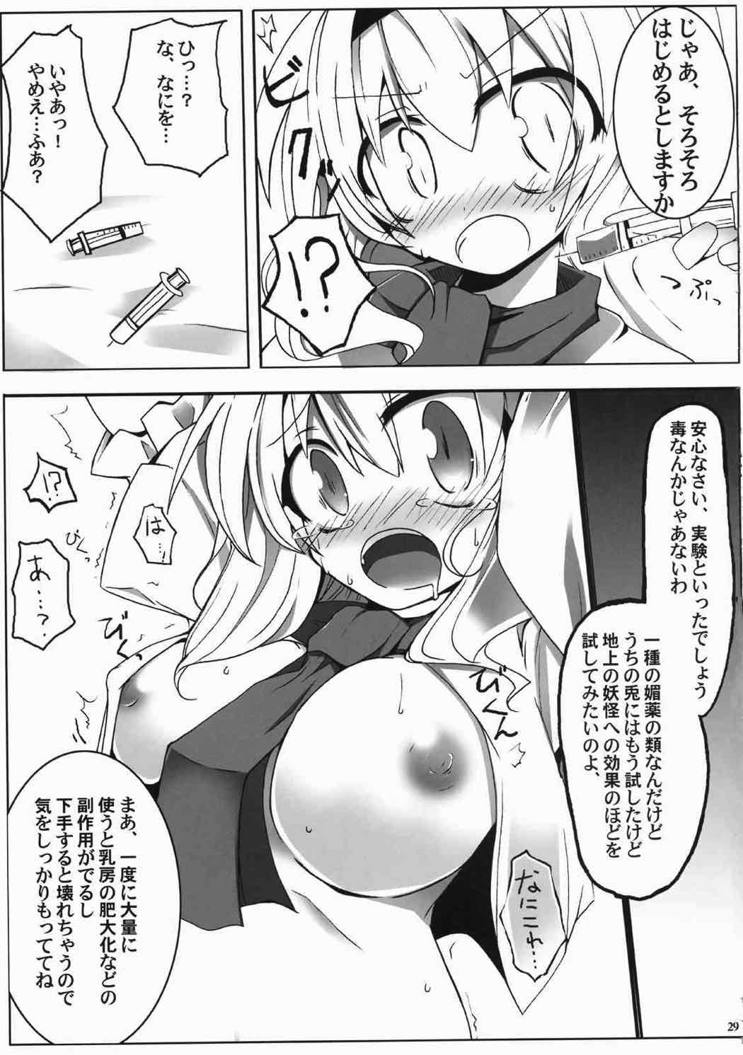 アリスいぢり合同 七色操り人形 27ページ