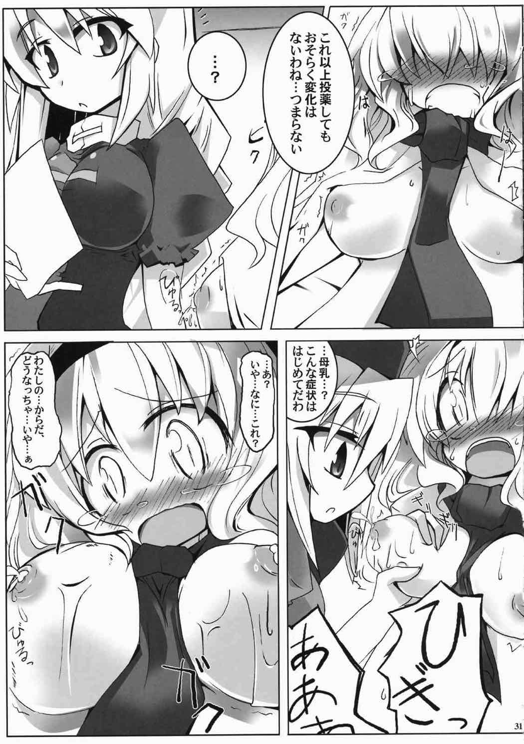 アリスいぢり合同 七色操り人形 29ページ