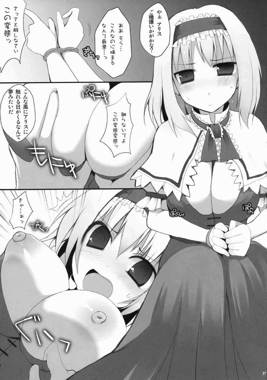 アリスいぢり合同 七色操り人形 35ページ