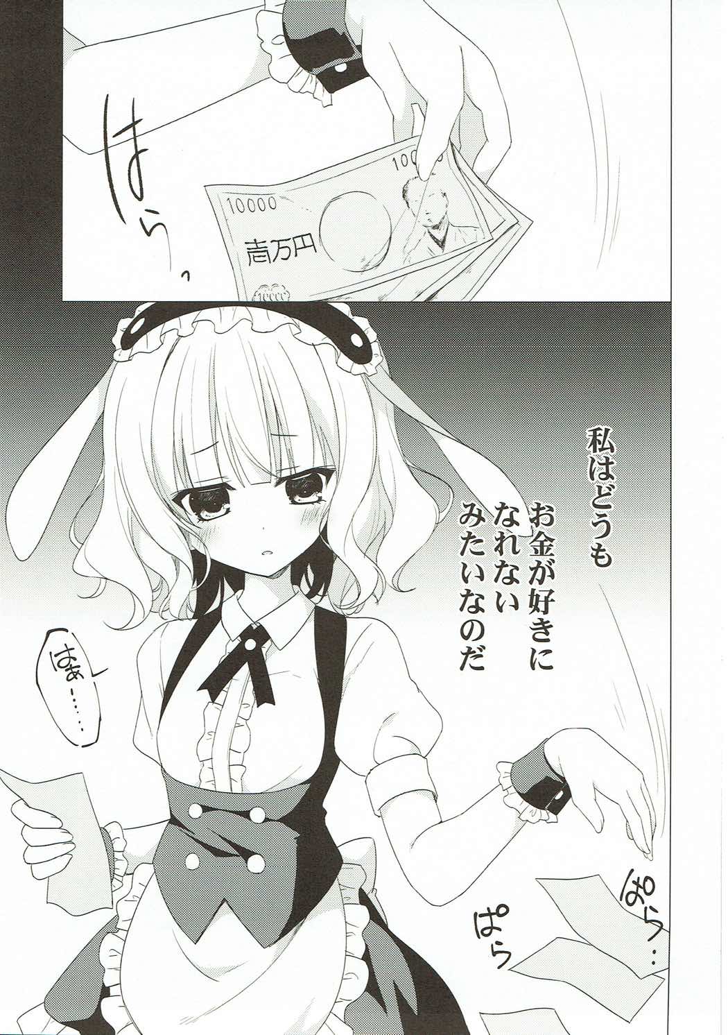 HAVEN LEPUS3 4ページ