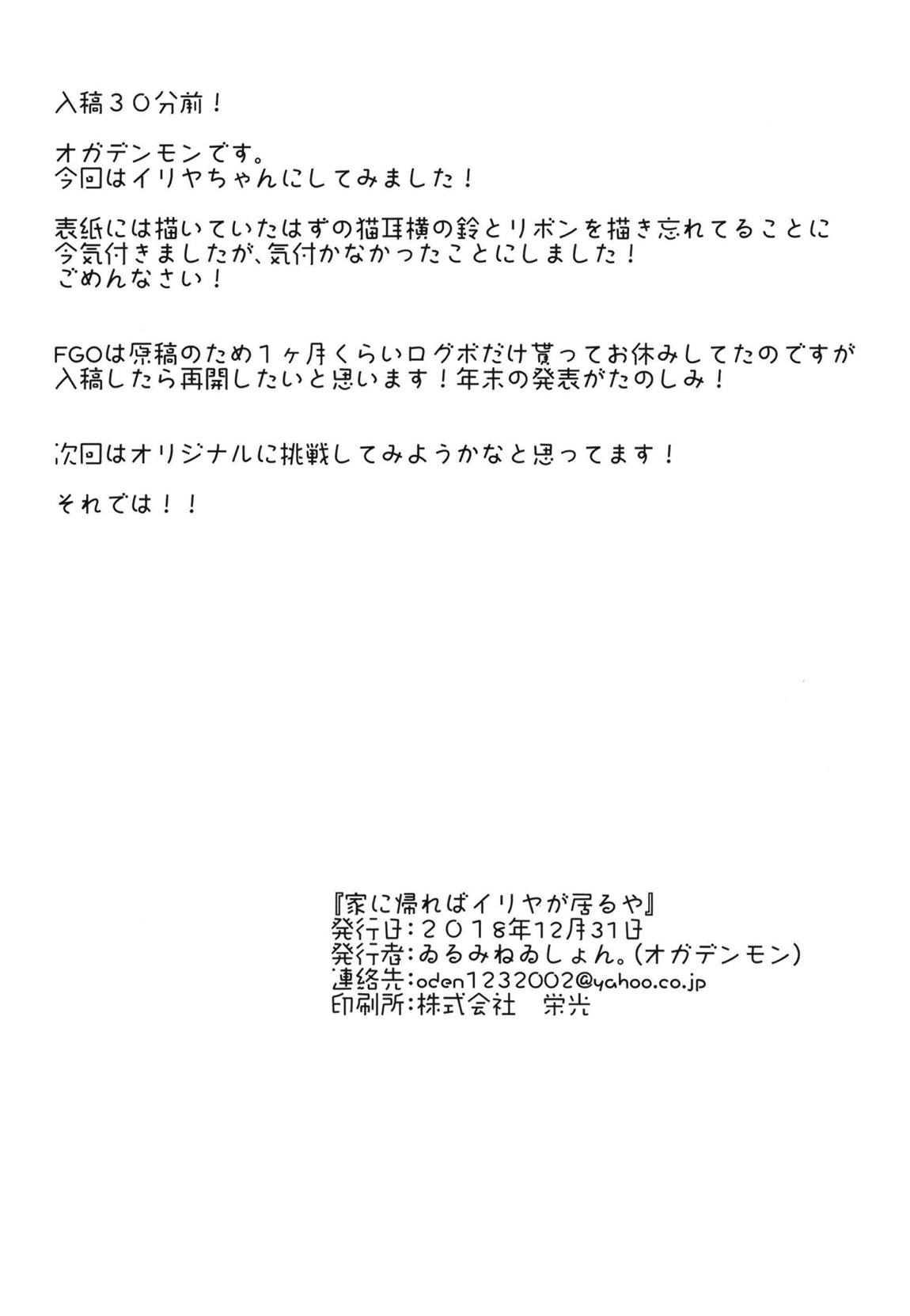 家に帰ればイリヤが居るや 24ページ