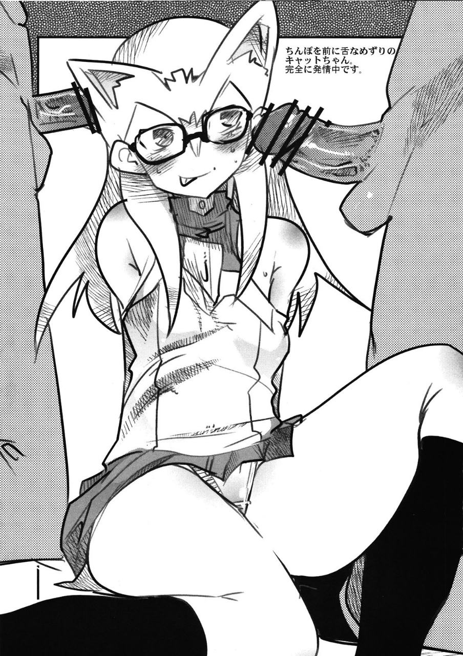ネットワークを構築して小鳥ちゃんと合体する本 14ページ
