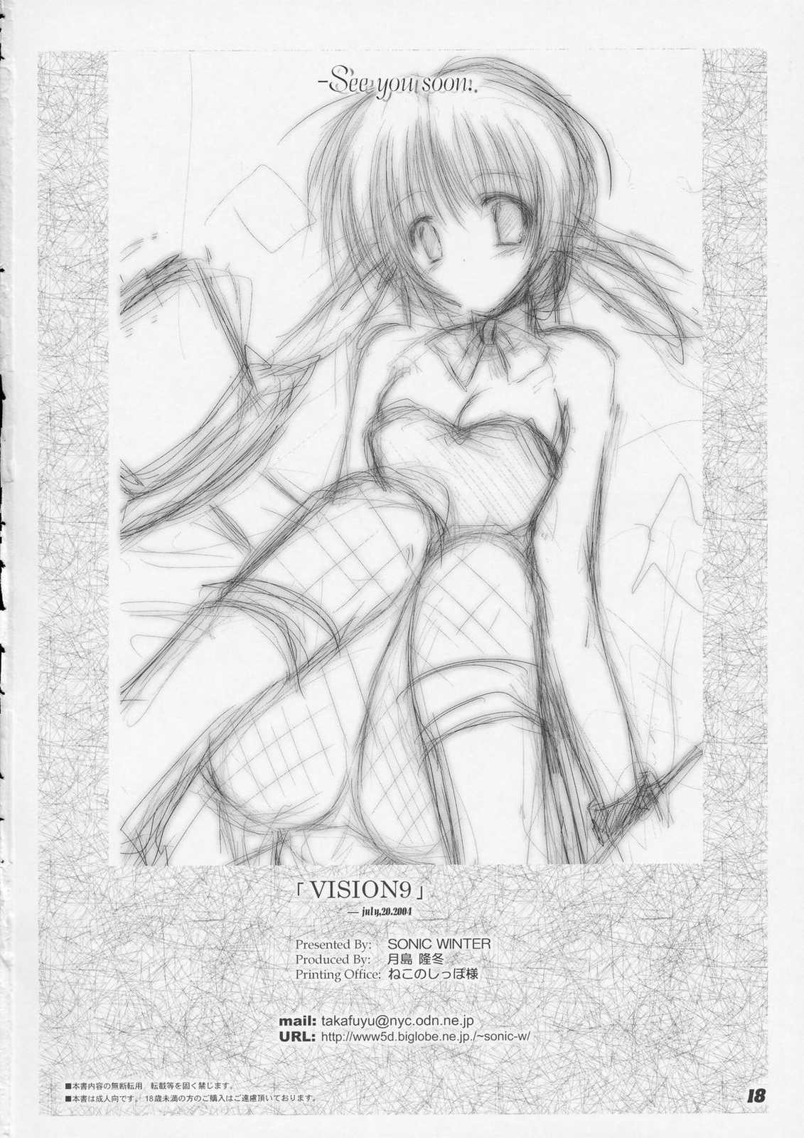 VISION 9 17ページ